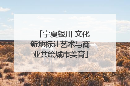 宁夏银川 文化新地标让艺术与商业共绘城市美育