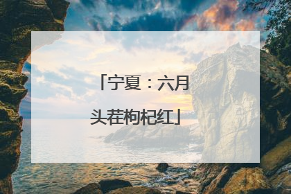 宁夏：六月头茬枸杞红
