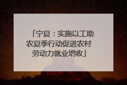 宁夏：实施以工助农夏季行动促进农村劳动力就业增收