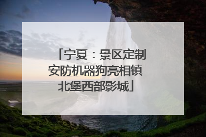 宁夏：景区定制安防机器狗亮相镇北堡西部影城