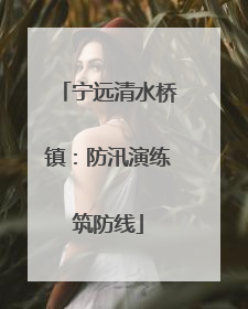 宁远清水桥镇：防汛演练筑防线