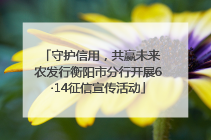 守护信用，共赢未来 农发行衡阳市分行开展6·14征信宣传活动