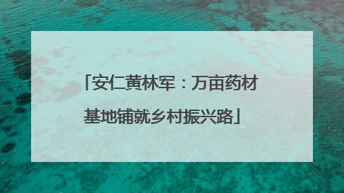 安仁黄林军：万亩药材基地铺就乡村振兴路