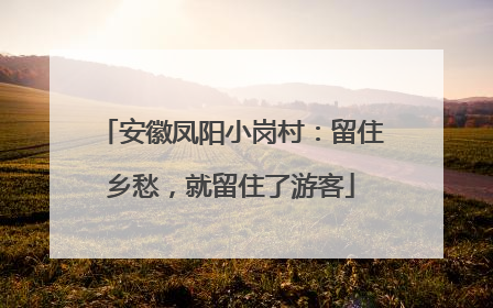 安徽凤阳小岗村：留住乡愁，就留住了游客