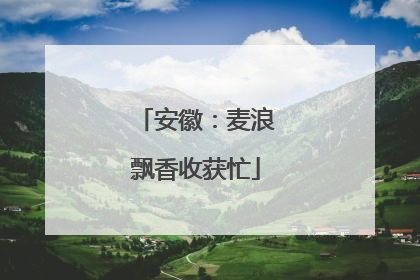 安徽：麦浪飘香收获忙