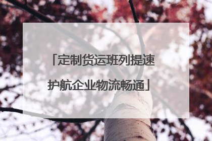 定制货运班列提速 护航企业物流畅通