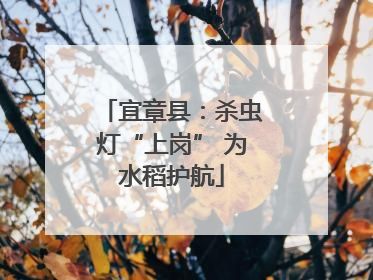 宜章县：杀虫灯“上岗” 为水稻护航