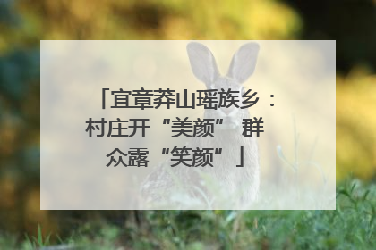 宜章莽山瑶族乡：村庄开“美颜” 群众露“笑颜”
