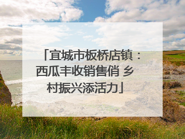 宜城市板桥店镇：西瓜丰收销售俏 乡村振兴添活力