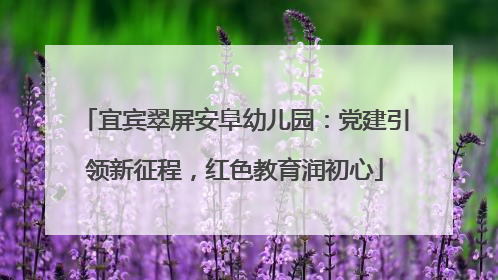 宜宾翠屏安阜幼儿园：党建引领新征程，红色教育润初心