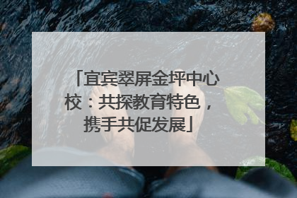 宜宾翠屏金坪中心校：共探教育特色，携手共促发展