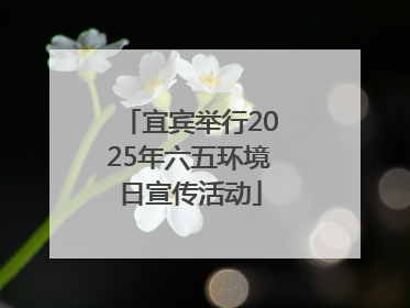 宜宾举行2025年六五环境日宣传活动