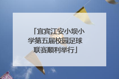 宜宾江安小坝小学第五届校园足球联赛顺利举行