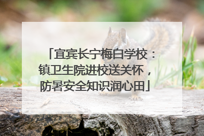 宜宾长宁梅白学校：镇卫生院进校送关怀，防暑安全知识润心田