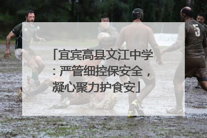 宜宾高县文江中学：严管细控保安全，凝心聚力护食安