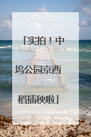 实拍！中坞公园京西稻插秧啦