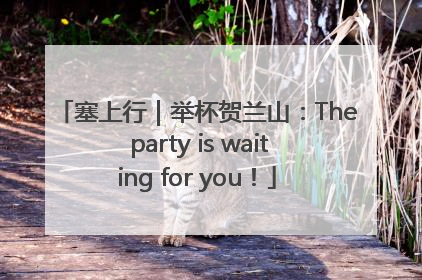塞上行｜举杯贺兰山：The party is waiting for you！
