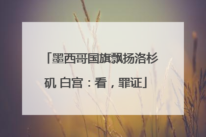 墨西哥国旗飘扬洛杉矶 白宫：看，罪证