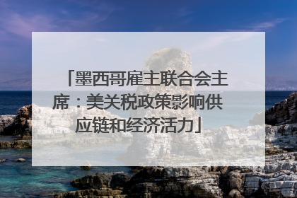 墨西哥雇主联合会主席：美关税政策影响供应链和经济活力