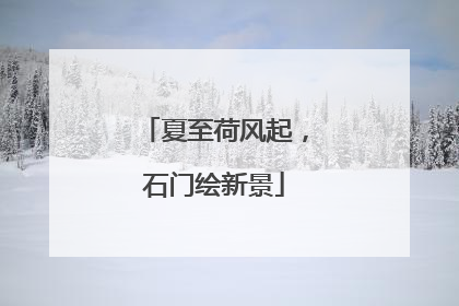 夏至荷风起，石门绘新景