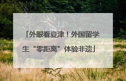 外眼看夏津！外国留学生“零距离”体验非遗