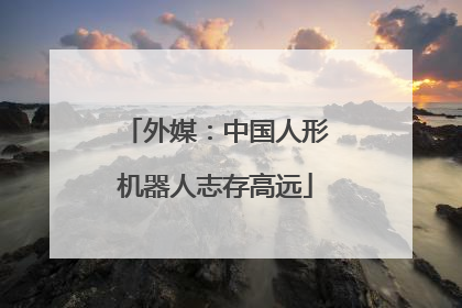 外媒：中国人形机器人志存高远