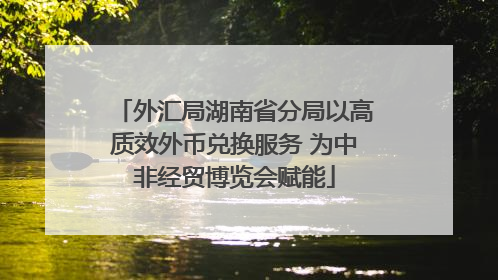 外汇局湖南省分局以高质效外币兑换服务 为中非经贸博览会赋能