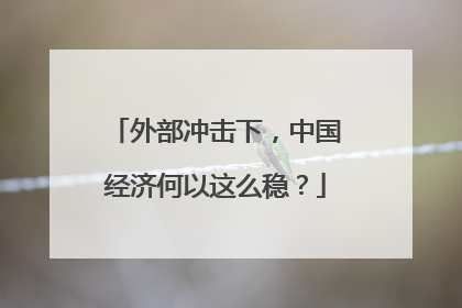 外部冲击下，中国经济何以这么稳？