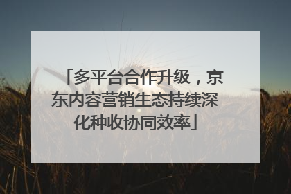 多平台合作升级，京东内容营销生态持续深化种收协同效率