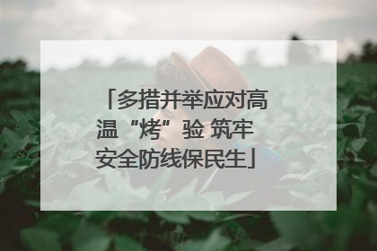 多措并举应对高温“烤”验 筑牢安全防线保民生