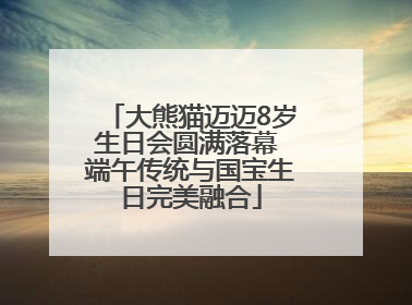大熊猫迈迈8岁生日会圆满落幕 端午传统与国宝生日完美融合