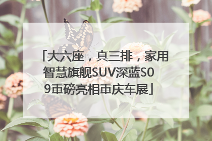 大六座，真三排，家用智慧旗舰SUV深蓝S09重磅亮相重庆车展
