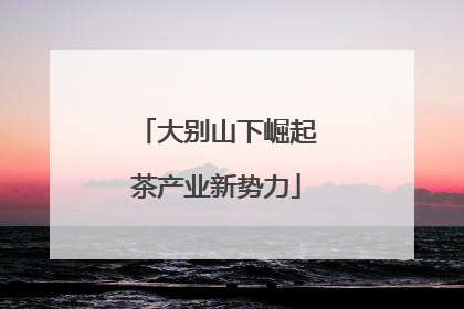 大别山下崛起茶产业新势力