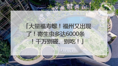 大量福寿螺！福州又出现了！寄生虫多达6000条！千万别碰、别吃！