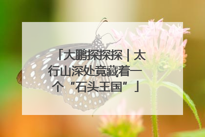 大鹏探探探｜太行山深处竟藏着一个“石头王国”