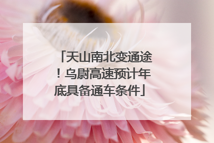 天山南北变通途！乌尉高速预计年底具备通车条件