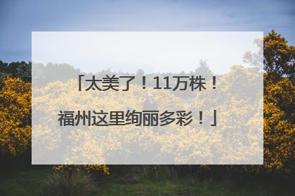 太美了！11万株！福州这里绚丽多彩！