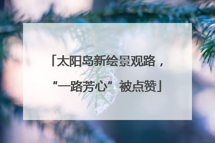 太阳岛新绘景观路，“一路芳心”被点赞