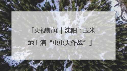 央视新闻｜沈阳：玉米地上演“虫虫大作战”