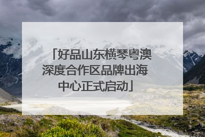 好品山东横琴粤澳深度合作区品牌出海中心正式启动