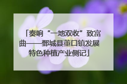 奏响“一地双收”致富曲——鄄城县董口镇发展特色种植产业侧记