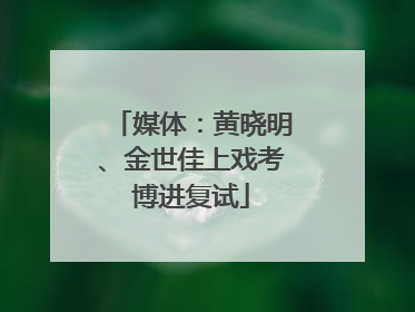 媒体：黄晓明、金世佳上戏考博进复试