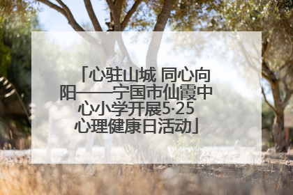 心驻山城 同心向阳——宁国市仙霞中心小学开展5·25心理健康日活动