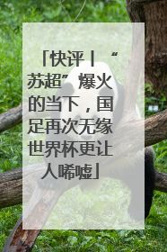 快评丨“苏超”爆火的当下，国足再次无缘世界杯更让人唏嘘