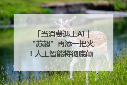 当消费遇上AI｜“苏超”再添一把火！人工智能将彻底颠覆绿茵场？