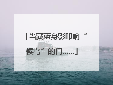 当藏蓝身影叩响“候鸟”的门……