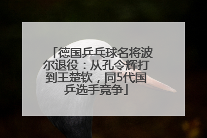 德国乒乓球名将波尔退役：从孔令辉打到王楚钦，同5代国乒选手竞争