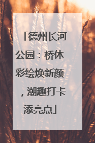 德州长河公园：桥体彩绘焕新颜，潮趣打卡添亮点