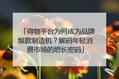 得物平台为何成为品牌爆款制造机？解码年轻消费市场的增长密码