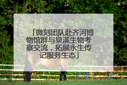 微刻团队赴齐河博物馆群与泉溪生物考察交流，拓展永生传记服务生态